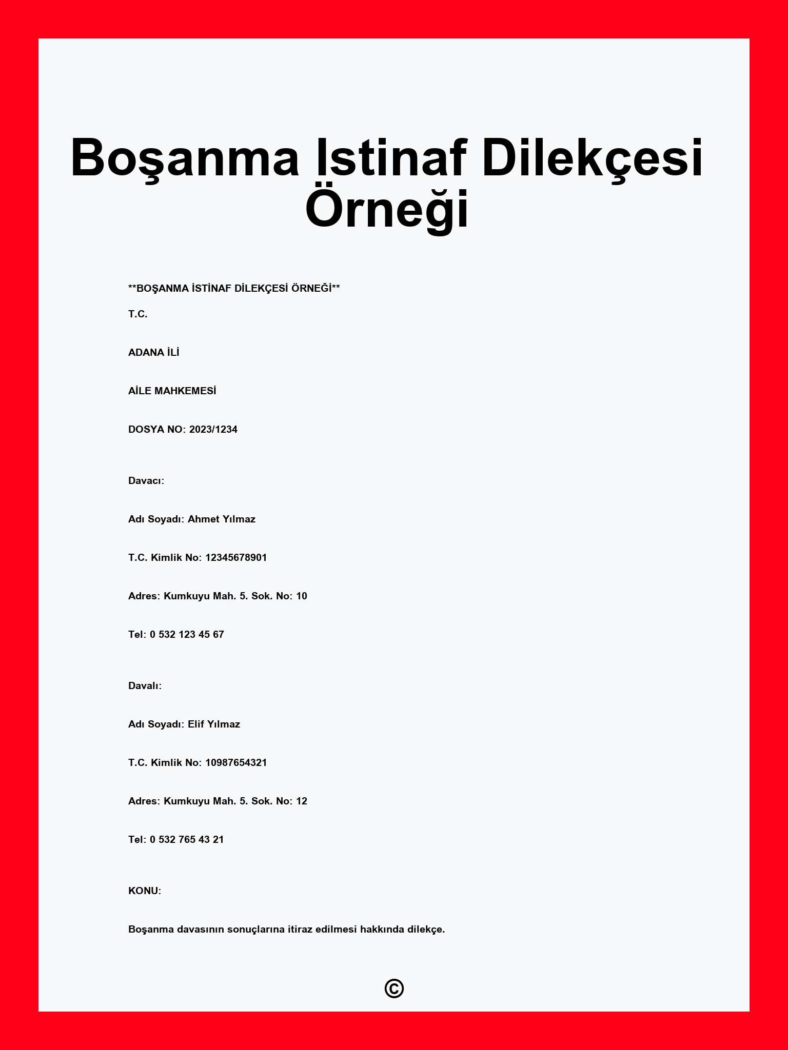 Boşanma Istinaf Dilekçesi Örneği