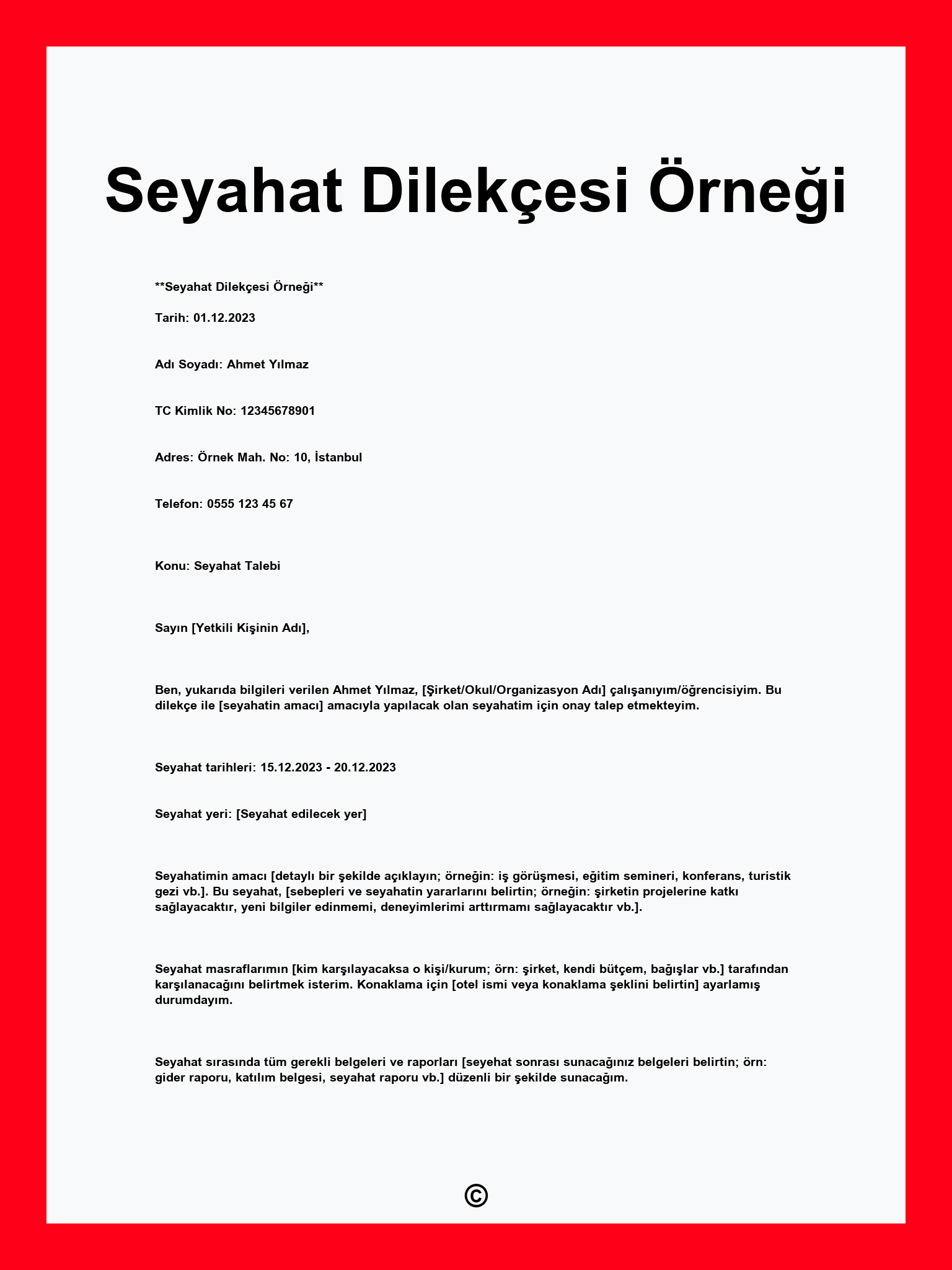 Seyahat Dilekçesi Örneği
